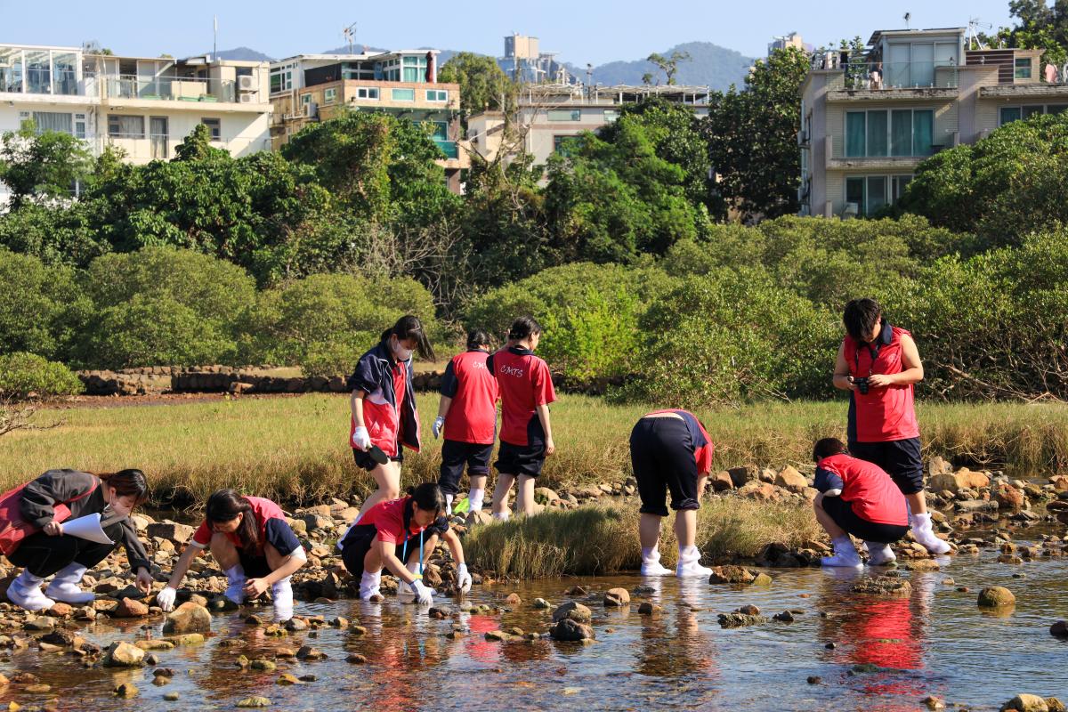 團隊精神，分工合作