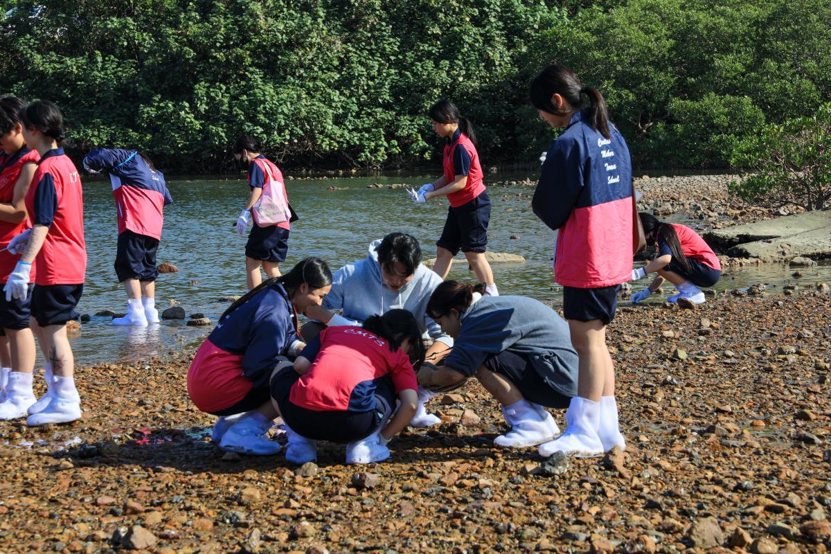 學生互相合作完成學習任務