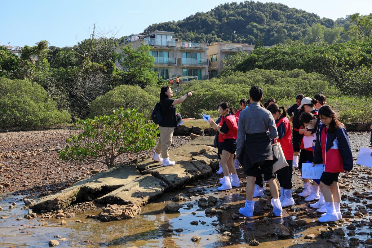 學生專心聆聽老師的講解