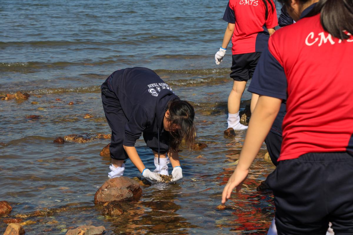 學生積極尋找水中生物