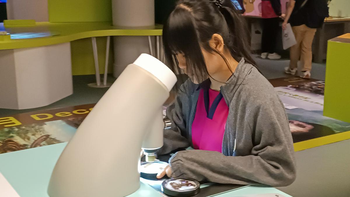 學生觀察微生物